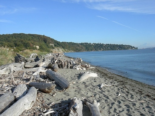 Get Outside and Visit a Park During MLA '17